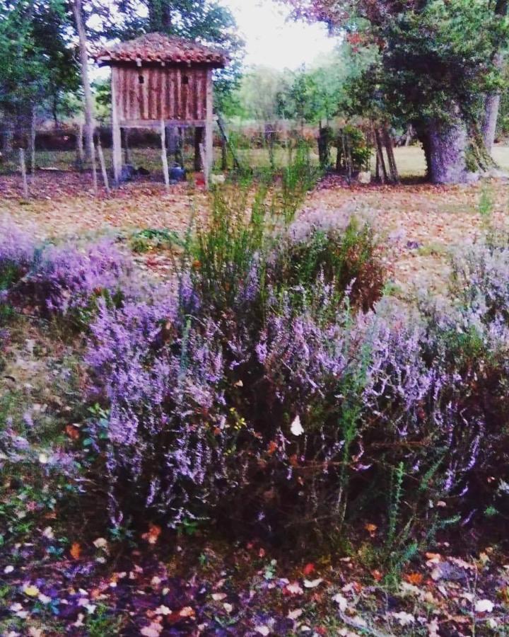 Les Hotes Des Guillemets Laglorieuse Exterior foto