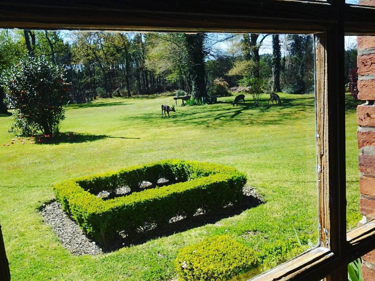 Les Hotes Des Guillemets Laglorieuse Exterior foto